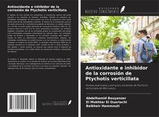 Buchcover von Antioxidante e inhibidor de la corrosión de Ptychotis verticillata
