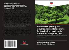 Bookcover of Politiques publiques environnementales dans le territoire rural de la vallée du Guaporé, RO