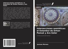 Intersecciones semióticas: el Estambul de Orhan Pamuk y Ara Güler的封面