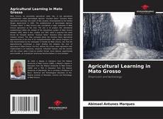 Agricultural Learning in Mato Grosso kitap kapağı