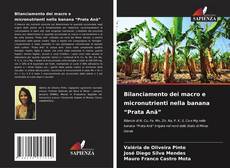 Bookcover of Bilanciamento dei macro e micronutrienti nella banana “Prata Anã”