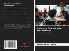 Borítókép a  Inclusive Education in Mozambique - hoz
