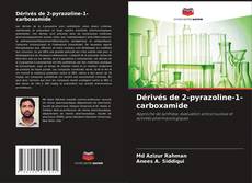 Dérivés de 2-pyrazoline-1-carboxamide kitap kapağı
