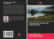 Copertina di Infecção de ovinos por Haemonchus