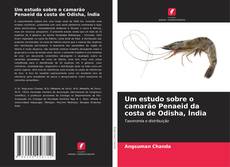 Обложка Um estudo sobre o camarão Penaeid da costa de Odisha, Índia