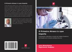 Bookcover of O Primeiro Atraso é o que Importa