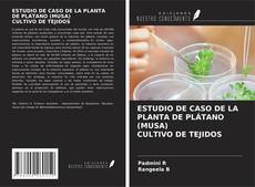 Couverture de ESTUDIO DE CASO DE LA PLANTA DE PLÁTANO (MUSA) CULTIVO DE TEJIDOS