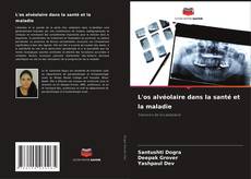 Couverture de L'os alvéolaire dans la santé et la maladie
