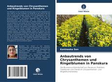Portada del libro de Anbautrends von Chrysanthemen und Ringelblumen in Panskura