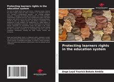 Borítókép a  Protecting learners rights in the education system - hoz