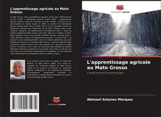 Buchcover von L'apprentissage agricole au Mato Grosso