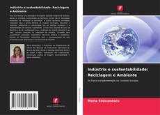 Indústria e sustentabilidade: Reciclagem e Ambiente kitap kapağı