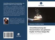 Copertina di Umweltbewertung der Konzentration von gelöstem Kupfer im Fluss Grajaú-Ma