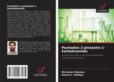 Buchcover von Pochodne 2-pirazolin-1-karboksamidu