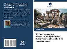 Buchcover von Überzeugungen und Herausforderungen bei der Prävention von Hepatitis B im mittleren Purus