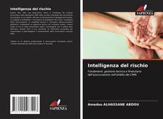 Bookcover of Intelligenza del rischio