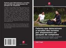 Borítókép a  Fatores que determinam a escolha dos turistas por alojamentos em parques de campismo - hoz