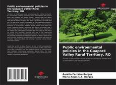 Buchcover von Public environmental policies in the Guaporé Valley Rural Territory, RO