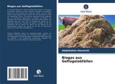 Capa do livro de Biogas aus Geflügelabfällen 
