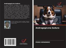 Couverture de Andragogiczna bzdura