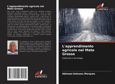 Couverture de L'apprendimento agricolo nel Mato Grosso