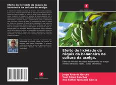 Borítókép a  Efeito do lixiviado da ráquis da bananeira na cultura da acelga. - hoz