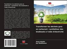 Buchcover von Transformer les déchets gras en carburant : synthétiser des biodiesels à l'aide d'électricité