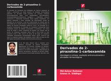 Couverture de Derivados de 2-pirazolina-1-carboxamida