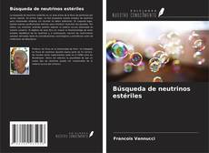 Capa do livro de Búsqueda de neutrinos estériles 