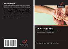Couverture de Analiza ryzyka