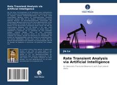 Rate Transient Analysis via Artificial Intelligence的封面