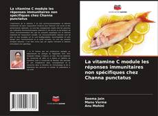 Buchcover von La vitamine C module les réponses immunitaires non spécifiques chez Channa punctatus