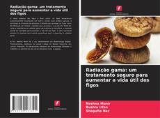 Обложка Radiação gama: um tratamento seguro para aumentar a vida útil dos figos