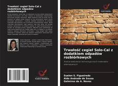 Buchcover von Trwałość cegieł Solo-Cal z dodatkiem odpadów rozbiórkowych