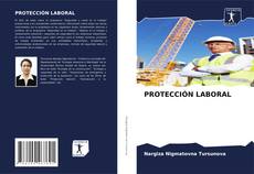 Bookcover of PROTECCIÓN LABORAL