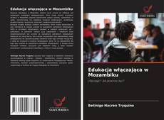 Обложка Edukacja włączająca w Mozambiku