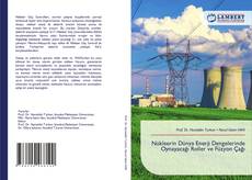 Nükleerin Dünya Enerji Dengelerinde Oynayacağı Roller ve Füzyon Çağı kitap kapağı