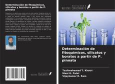 Copertina di Determinación de fitoquímicos, silicatos y boratos a partir de P. pinnata