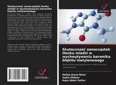 Обложка Skuteczność nanocząstek tlenku miedzi w wychwytywaniu barwnika błękitu metylenowego