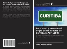 Esclavitud y hermandad negra en los campos de Curitiba (1797-1850)的封面
