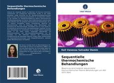 Обложка Sequentielle thermochemische Behandlungen