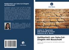 Обложка Haltbarkeit von Solo-Cal-Ziegeln mit Bauschutt