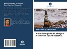 Couverture de Lebensbegriffe in einigen Schriften von Nietzsche