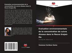 Bookcover of Évaluation environnementale de la concentration de cuivre dissous dans le fleuve Grajaú-Ma
