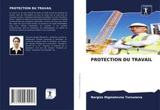 Bookcover of PROTECTION DU TRAVAIL
