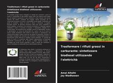 Copertina di Trasformare i rifiuti grassi in carburante: sintetizzare biodiesel utilizzando l'elettricità