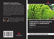 Bookcover of Cultivation of new banana cultivars in subtropical regions