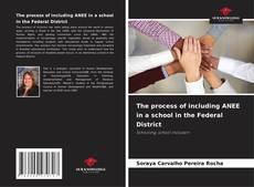 Bookcover of The process of including ANEE in a school in the Federal District