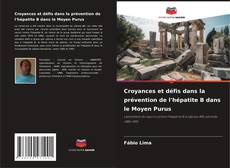 Обложка Croyances et défis dans la prévention de l'hépatite B dans le Moyen Purus