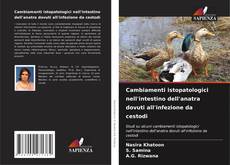 Bookcover of Cambiamenti istopatologici nell'intestino dell'anatra dovuti all'infezione da cestodi
